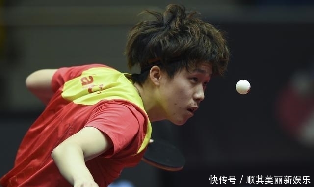 环境与适应 环境与适应